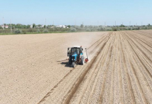 ТҮРКІСТАН: Мақтааралда мақта егу науқаны басталды