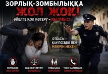 ​Шымкентте «Тұрмыс» жедел-профилактикалық іс-шарасы өтуде