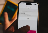 Мобильді аударымдар 1 қаңтардан бастап қандай жағдайда тексеріледі?