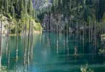 Алматы облысында Қайыңды көліне апаратын тас жол салынып жатыр