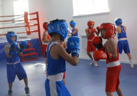 ​ТҮРКІСТАН: Шардарада жаңа спорт кешені ашылды