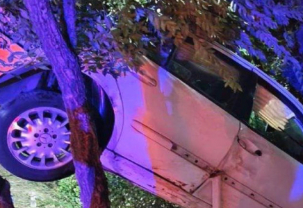 Алматыда жантүршігерлік жол апаты: Көлік ағаштың басына ілініп қалды