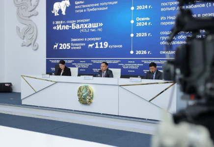 «Іле-Балқаш» резерватына Нидерландтан екі жолбарыс жеткізілді