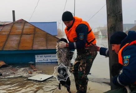 Қазақстанда су тасқынынан зардап шеккендердің қандай мүліктеріне өтемақы төленеді – Үкімет тізім жариялады