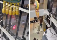 Атырауда сауда үйінде биік қабаттан өрмелеп түспек болған жасөспірім құлап жарақат алды