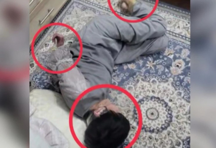 Назгүл мен Құндыз оқиғасы: Жамбылда балалар мен мүгедек қызды азаптаған қамқоршы қамалды