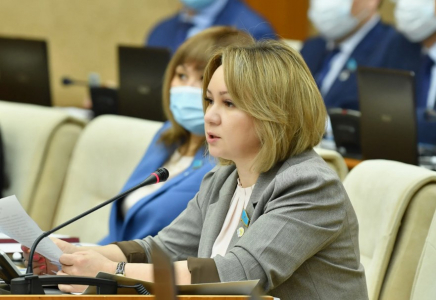 Конституциялық комиссияда жаңа Конституцияның күшіне ену тәртібі талқыланды