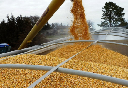 Астық пен ұн экспорты ұлғайды