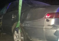 Алматыдағы қамыс арасынан табылған мәйіт: полиция түсініктеме берді