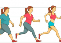 Қозғалыс пен диета - арықтаудың негізі Қозғалыс пен диета - арықтаудың негізі