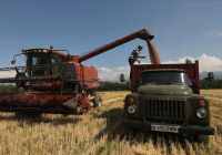 Қазақстанның ауыл шаруашылығына 63 мың маман қажет