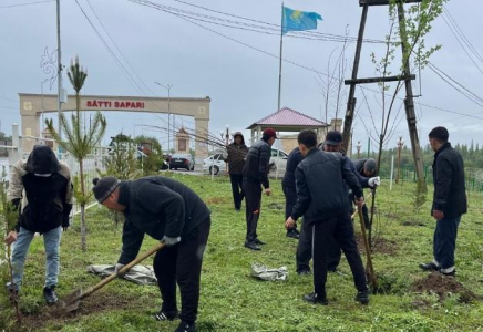 Түлкібастағы сенбілікте 700-ге жуық көшет егілді