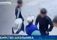 Алматы облысында 14 жастағы оқушы соққыдан қаза болған