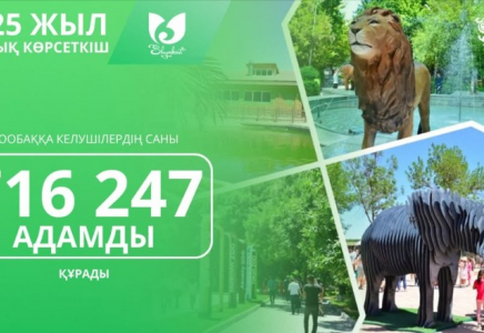 ШЫМКЕНТ: зообаққа келушілер саны 716 мыңнан асты