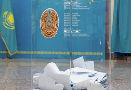 Елімізде дауыс беру басталғаннан бері заңсыздықтар туралы 25 өтініш түскен