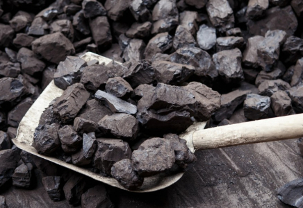 Түркістан облысында 100 000 тонна көмір қоры бар
