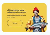 Қазақстанда балық өнімдерінің көлеңкелі айналымы E-fish цифрлық жүйесінің көмегімен қысқартылып жатыр