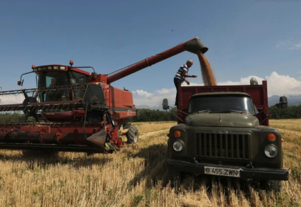 Қазақстанның ауыл шаруашылығына 63 мың маман қажет