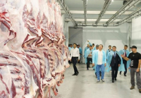 ТҮРКІСТАН: Сайрамда құны 44 млрд теңгеге жуық 20-дан астам өндіріс орны ашылады