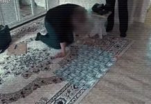 Ұлттық қауіпсіздік комитеті OrdaMed басшылығын ұстады