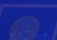 ЖАҢА КОНСТИТУЦИЯ: ХАЛЫҚТЫҢ ӘЛ-АУҚАТЫН АРТТЫРУ