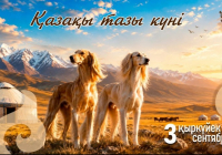 Бүгін алғаш рет Қазақы тазы күні атап өтіледі