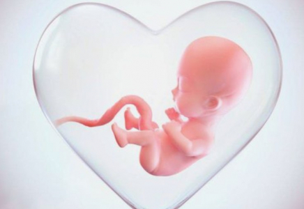 «АҢСАҒАН СӘБИ»: ШЫМКЕНТТЕГІ ДЕМОГРАФИЯЛЫҚ СЕРПІЛІС ПЕН ОТБАСЫ БАҚЫТЫ