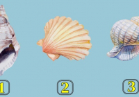 ​КҮЙЗЕЛІСТЕ ЖҮРГЕН ЖОҚСЫЗ БА?