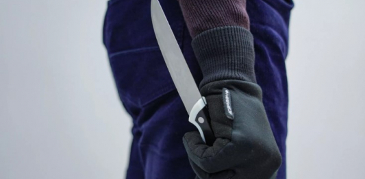 Солтүстік Қазақстанда ер адам әжесін пышақтап өлтірді