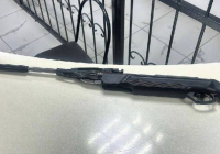 "Мас болған, иттерге оқ атқан": Семейде ветеринария қызметкері ұсталды