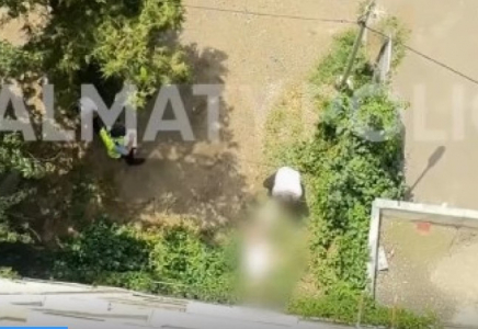Алматыда зейнеткер тұрғын үйдің терезесінен құлап кетті 