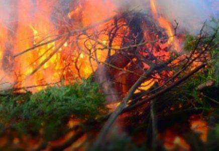 Дала және орман өрттерінен келген шығын 111 млн теңгені құрады