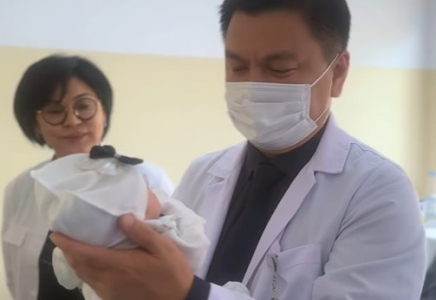 В Шымкенте врачи спасли жизнь недоношенному младенцу