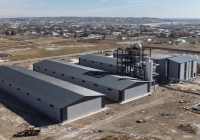 Түркістан облысында жүгері өңдейтін зауыт салынып жатыр