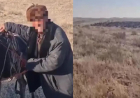 Жамбыл облысында қойшы қалың тұманда үш күн бойы адасып жүрген