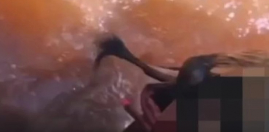 Жайықтағы жантүршігерлік жағдай: Атырауда 15 жастағы бойжеткен көпірден секіріп кетті 