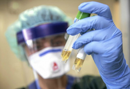 Түркістан облысында коронавирус жұқтырғандардың саны артты