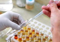 Қазақстанда қызылшаға байланысты шұғыл шаралар енгізілді