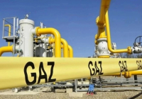 ​Өзбекстанда газ құю станцияларының жұмысына шектеу енгізіледі