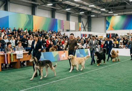 ​«Astana Winner 2026» халықаралық кинологиялық көрмесі өтеді