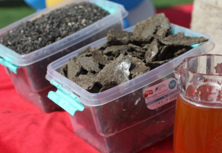 ТҮРКІСТАН: Сарыағашта өсімдік майын өндіретін зауыт іске қосылды