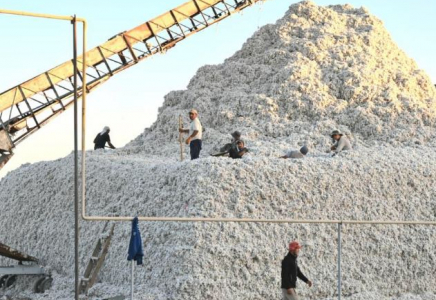 ТҮРКІСТАН: Жетісайда мақта зауыттарының жұмыстарына зерделеу жүргізілді