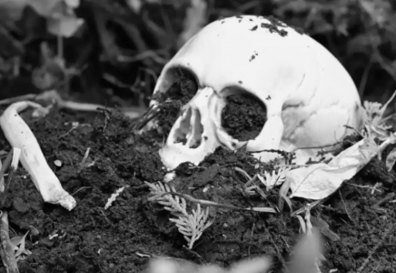 ШҚО-да аурухана құрылысы кезінде адам сүйектері табылды