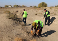 ​Сауранда 500 адам қатысқан «Таза Қазақстан» эко-акциясы өтті