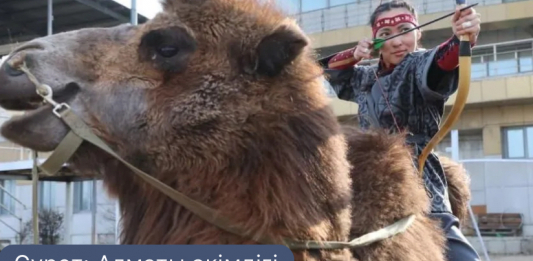 Түйе үстінде 10 секундта 4 нысана: Алматы ипподромында әлемдік рекорд орнатылды
