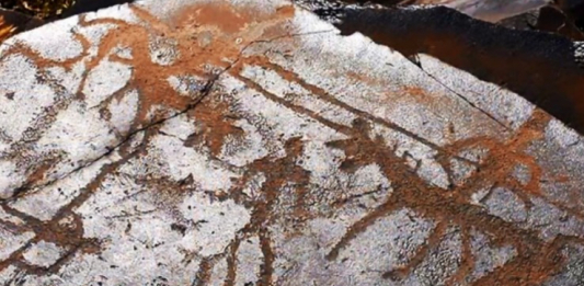 Алматы облысында Іле өзенінің әсем жағалауында жаңа туристік кластерді дамытуға бағытталған ауқымды жоба іске қосылды