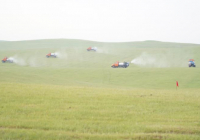 ТҮРКІСТАН: Өңірде шегірткеге қарсы күрес жұмыстары қарқын алды