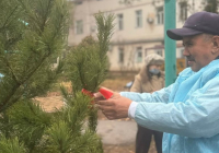 ​ШЫМКЕНТТЕ ЖИТС-ПЕН КҮРЕС КҮНІНЕ ОРАЙ ЖАҢА АЛЛЕЯ ПАЙДАЛАНУҒА БЕРІЛДІ