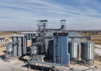 Қазақстанда Орталық Азиядағы ең ірі жүгеріні терең өңдеу зауыты іске қосылады