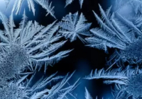 Қазақстанның шығысында 45 градусқа дейін аяз болады